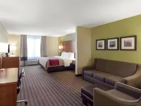 Comfort Inn & Suites Fayetteville-University Area Hotels in Washington County