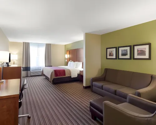 Comfort Inn & Suites Fayetteville-University Area Hotels in Washington County
