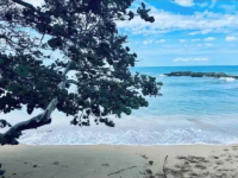 Paradise Oasis at Oceanpointe (btw Montego Bay and  Negril)