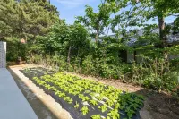 Gangneung Badasol Pension