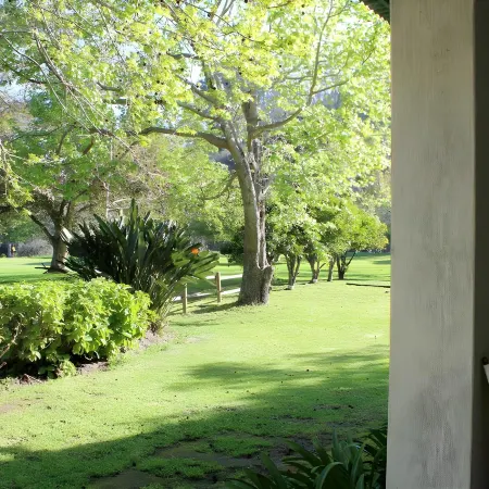 Blackwaters River Lodge, Knysna