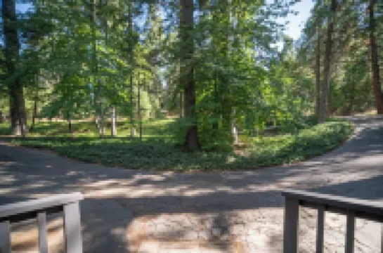 The Robin: BLS Lake Access, Hot Tub, Curated Luxury Design, & Kids Game Room