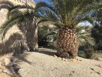 Roca de Leones, beautiful villa with sea view, close to beach and town