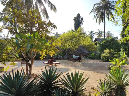 Paje by Night Отели в г. Paje