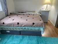 Spacious Cheerful home with 2 free parking