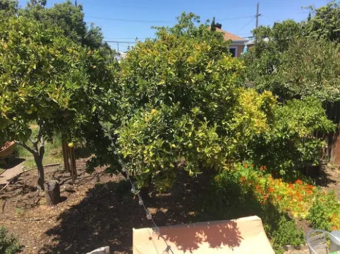 Beautiful 2BR Open Floor Plan Apt, Garden & Sauna