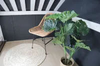 Luxury in the city Tilburg فنادق في تيلبورخ