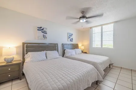 Tropical, Bikes, Bio Bay & Vibes, Top Location