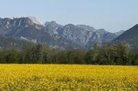 [Large Private Garden] Friulian Dolomites-Sequals
