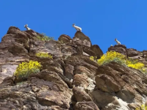 Best Panoramic Mountain Views and Sunsets in the Entire Valley