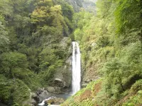 Guesthouse "Feels like home"  호텔