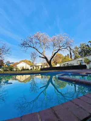 Luxury House into Nature in Sandton, peaceful place with full of greens