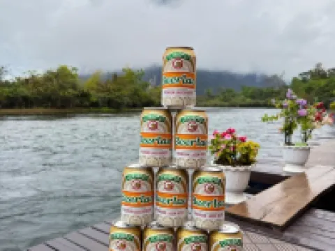 Heun Phea Meuang Feuang Riverside2 Hoteles en Feuang