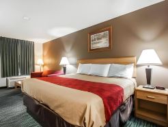 Econo Lodge Inn and Suites - Jackson