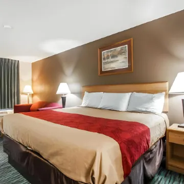 Econo Lodge Inn and Suites - Jackson