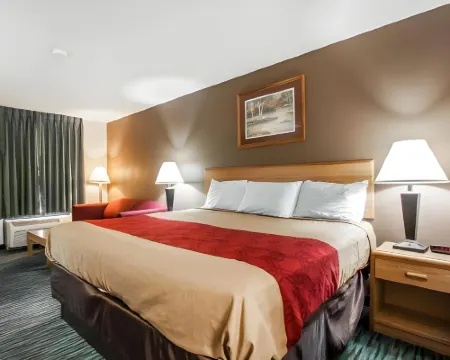 Econo Lodge Inn and Suites - Jackson Hotels in Jackson