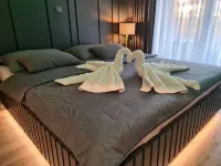 Wellness Apartments - Studio Apartment with Terrace (G3) Hotels in Varazdin