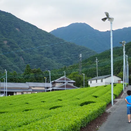 MIYAZUMASOU