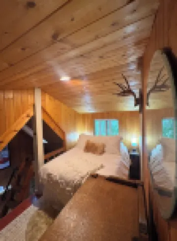 Cozy Tiny Cabin with RIVER VIEWS! Sleeps 3, hot tub, wood stove, fire pit!