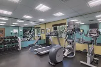 Holiday Inn Express & Suites AUSTIN NW - FOUR POINTS by IHG - Gym