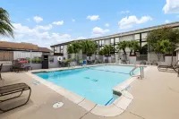Holiday Inn MCALLEN – MEDICAL CENTER AREA by IHG - مسبح