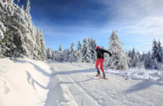 Winterberg Appartement 21032
