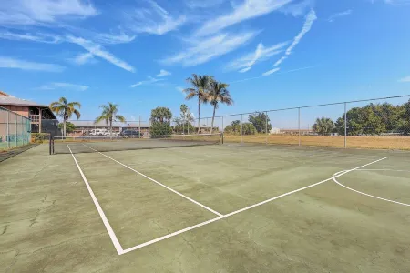 The Gator Escape -Poolside Condo Walk to Tiki Bar