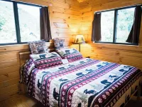 The Overlook Cabin near Grayson Highlands - Arcade & Theater Hotels in Wilson Creek