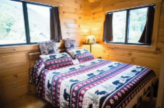 The Overlook Cabin near Grayson Highlands - Arcade & Theater