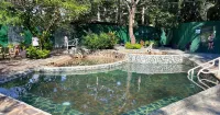 Hotel Termales La Montaña - Hot Springs