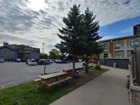 Econo Lodge City Centre - Morgenmad