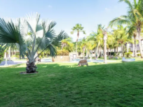 Eagle Beach Luxury House, Walking Distance to the Beach Hotels in Eagle Beach