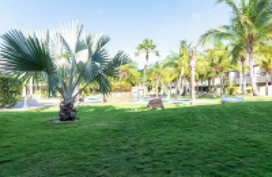 Eagle Beach Luxury House, Walking Distance to the Beach