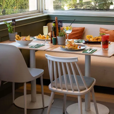 Ibis Concepción