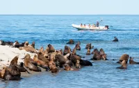 Ramada Residences by Wyndham Puerto Madryn CQ Mitre - 2-Star