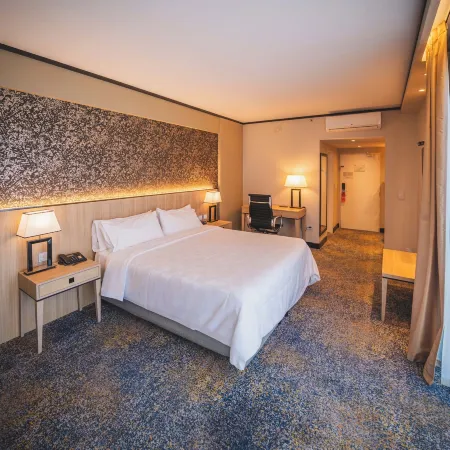 Holiday Inn ROSARIO by IHG
