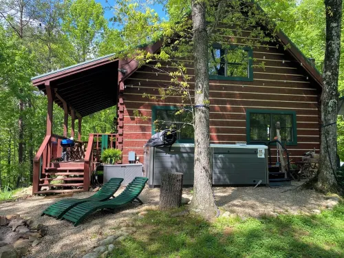 Cozy Log cabin tucked away in the Smokey Mountain, Pet friendly, Sauna, Hot Tub