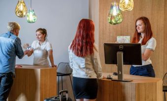 Ibis Plzen