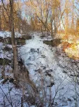 Rustic, Cozy Cottage with Backyard Waterfall and Cayuga Lake Views! - 2-Star