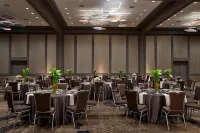 Renaissance Atlanta Waverly Hotel & Convention Center - bar
