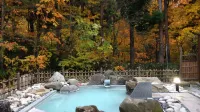 Hotels in Forest Waldberg - Varme kilder