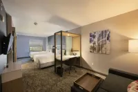 SpringHill Suites Colorado Springs Downtown - 3-Star