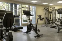 Costa Mesa Marriott - Træningscentre