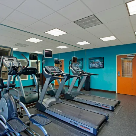 Fairfield Inn & Suites Detroit Metro Airport Romulus
