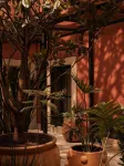 Hotel Boutique Casa Damiana - Wifi