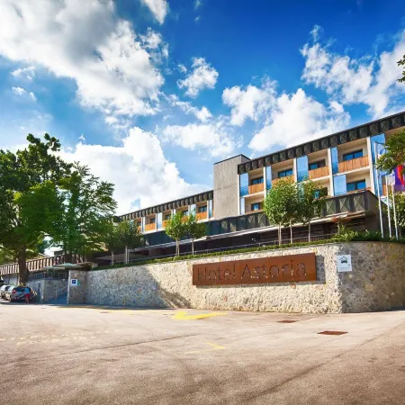Hotel Astoria Superior