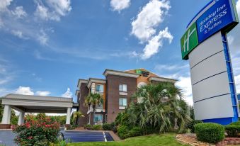 Holiday Inn Express & Suites Anderson-I-85 (Hwy 76, EX 19B)