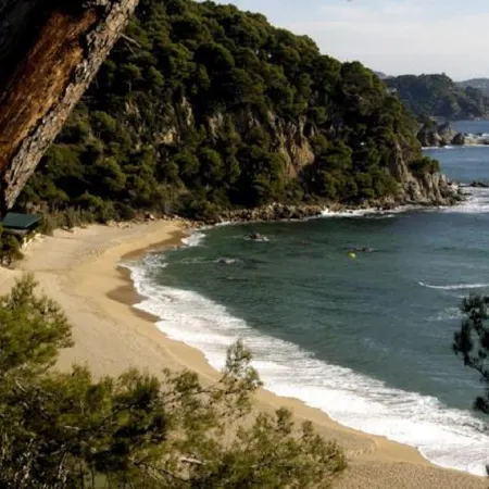 Apartments Lloret Sun