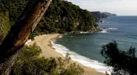 Apartments Lloret Sun