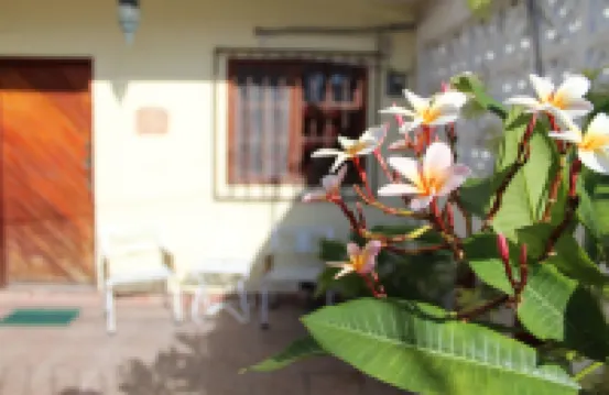 Cancun Guest House 3 Near Ado Bus Terminal and 25 Min from/to Airport by Shuttle